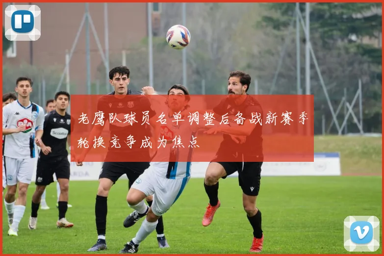 老鹰队球员名单调整后备战新赛季轮换竞争成为焦点