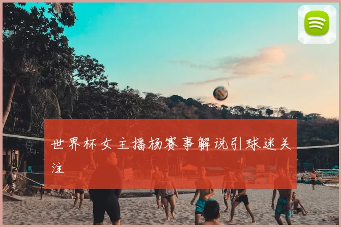世界杯女主播杨赛事解说引球迷关注