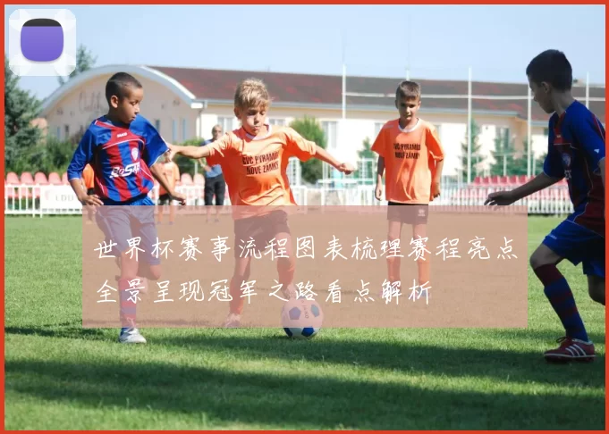 世界杯赛事流程图表梳理赛程亮点全景呈现冠军之路看点解析
