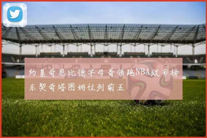 约基奇恩比德字母哥领跑NBA效率榜东契奇塔图姆位列前五