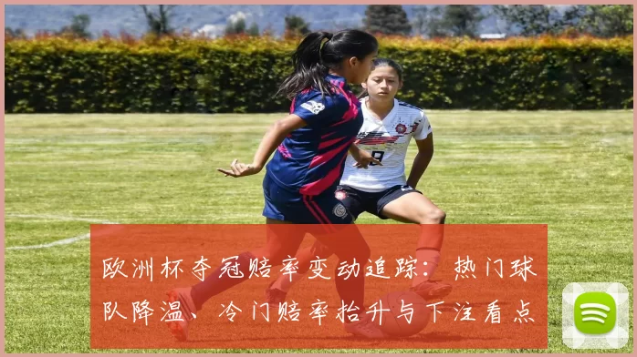 欧洲杯夺冠赔率变动追踪：热门球队降温、冷门赔率抬升与下注看点