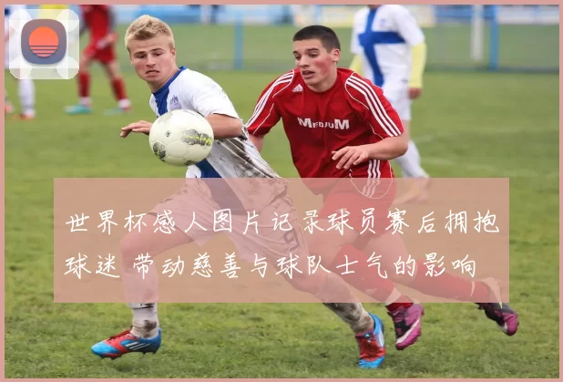 世界杯感人图片记录球员赛后拥抱球迷 带动慈善与球队士气的影响